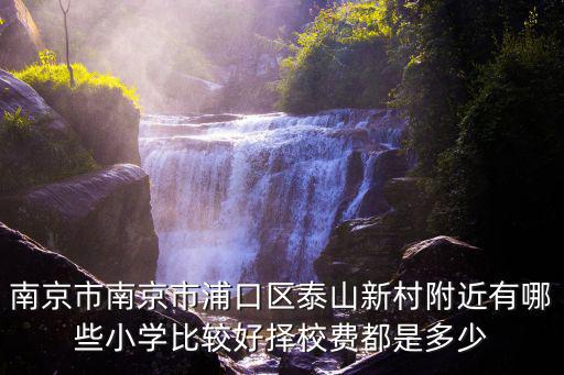 南京市南京市浦口區泰山新村附近有哪些小學比較好擇校費都是多少