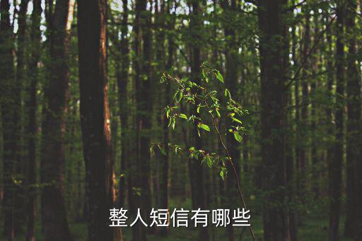 整人短信，整人短信有哪些