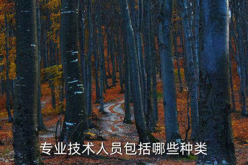 專業(yè)技術(shù)人員包括哪些種類