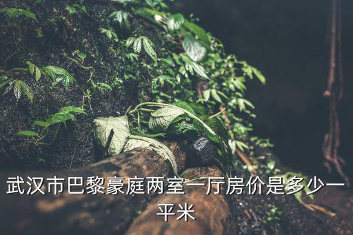 武漢市巴黎豪庭兩室一廳房價是多少一平米