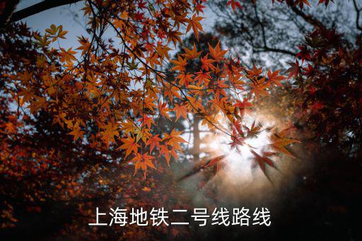 上海地鐵二號線路線