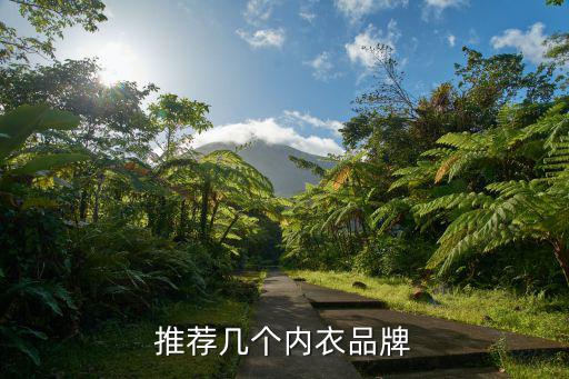 推薦幾個內衣品牌