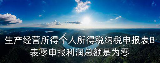 個人所得稅b表，企業個人所得稅ab類表的區別