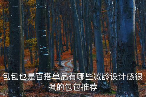 特色包包，包包也是百搭單品有哪些減齡設(shè)計(jì)感很強(qiáng)的包包推薦