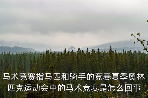 馬術(shù)競賽指馬匹和騎手的競賽夏季奧林匹克運(yùn)動會中的馬術(shù)競賽是怎么回事