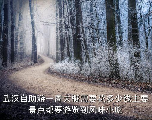 武漢自助游一周大概需要花多少錢主要景點(diǎn)都要游覽到風(fēng)味小吃