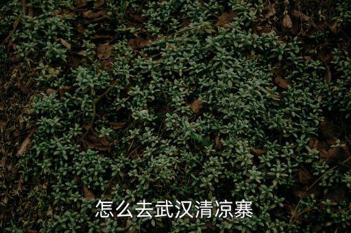 怎么去武漢清涼寨
