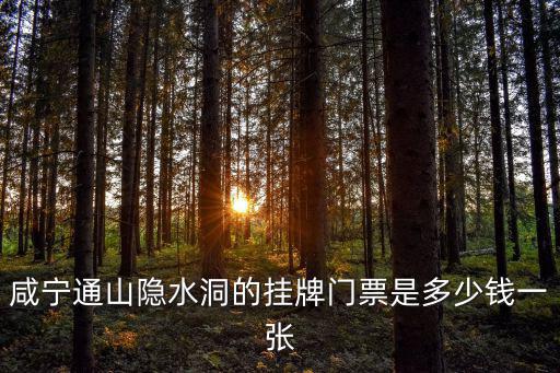 咸寧通山隱水洞的掛牌門票是多少錢一張