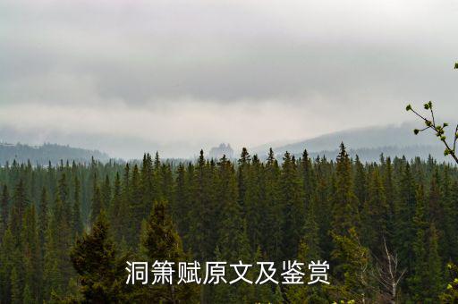 洞簫賦原文及鑒賞