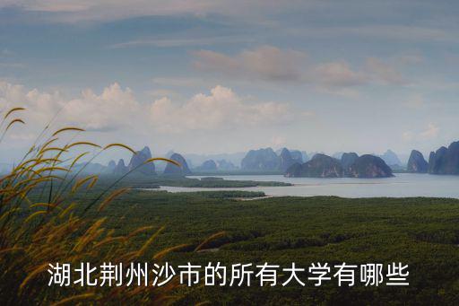 荊州的大學，湖北荊州沙市的所有大學有哪些