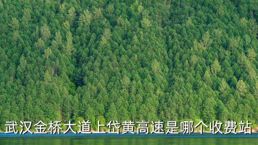 岱黃高速，武漢金橋大道上岱黃高速是哪個收費站
