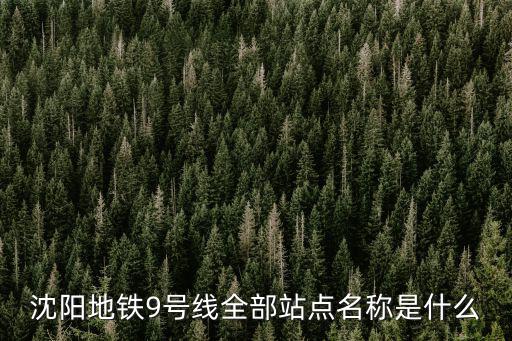 沈陽地鐵9號線全部站點名稱是什么