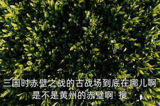三國時赤壁之戰的古戰場到底在哪兒啊是不是黃州的赤壁啊  搜