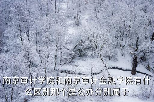 南京審計(jì)學(xué)院和南京審計(jì)金融學(xué)院有什么區(qū)別那個是公辦分別屬于
