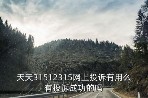 網上投訴怎么投訴，天天31512315網上投訴有用么有投訴成功的嗎