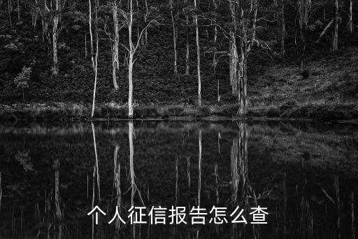 個人征信報告怎么查
