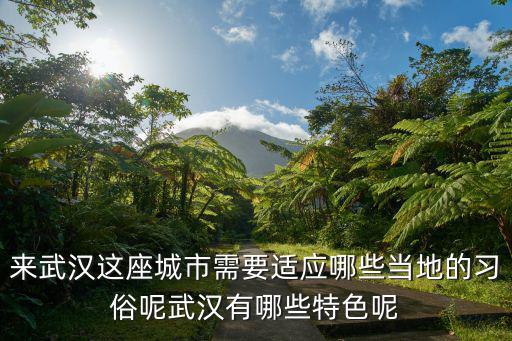 來武漢這座城市需要適應哪些當地的習俗呢武漢有哪些特色呢
