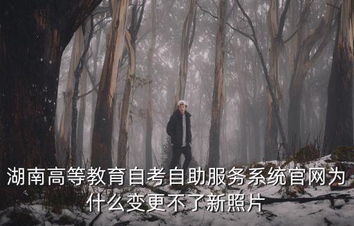 湖南高等教育自考自助服務系統官網為什么變更不了新照片