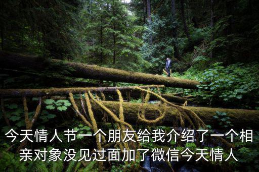 今天情人節一個朋友給我介紹了一個相親對象沒見過面加了微信今天情人