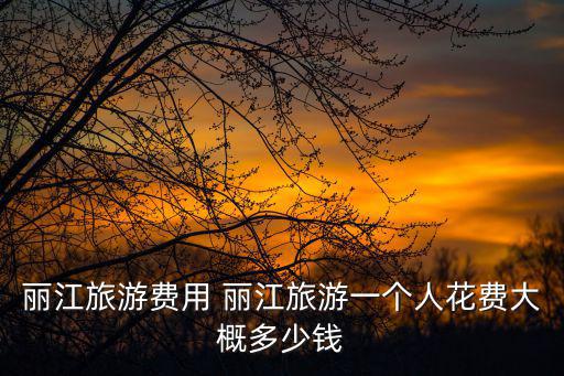 麗江旅游費(fèi)用 麗江旅游一個(gè)人花費(fèi)大概多少錢
