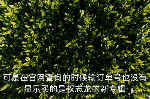 可是在官網查詢的時候輸訂單號也沒有顯示買的是權志龍的新專輯