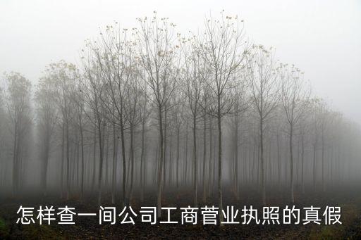 怎樣查一間公司工商菅業(yè)執(zhí)照的真假