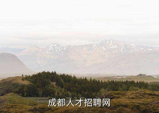 成都人才招聘網(wǎng)