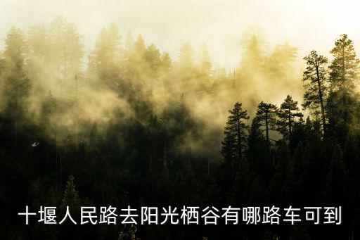十堰人民路去陽光棲谷有哪路車可到
