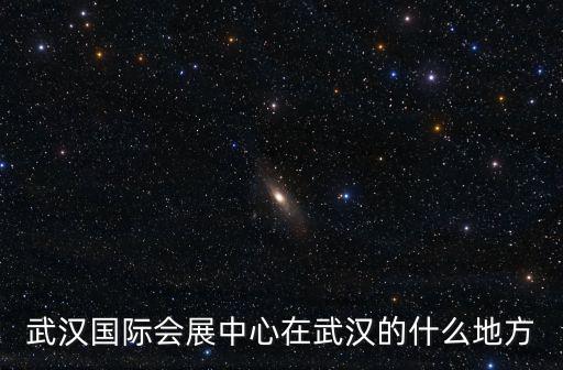 武漢國際會展中心在武漢的什么地方