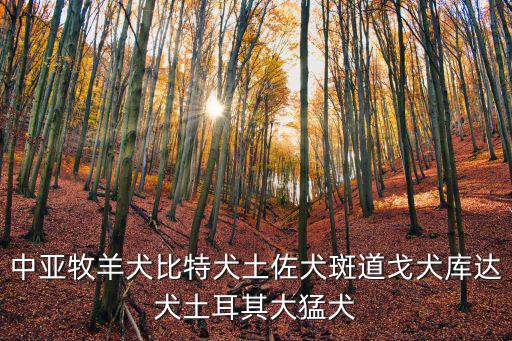 中亞牧羊犬比特犬土佐犬斑道戈犬庫達(dá)犬土耳其大猛犬