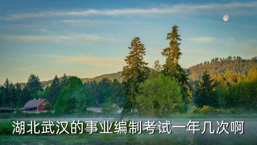 湖北武漢的事業編制考試一年幾次啊