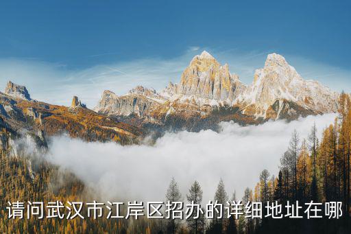 請問武漢市江岸區招辦的詳細地址在哪