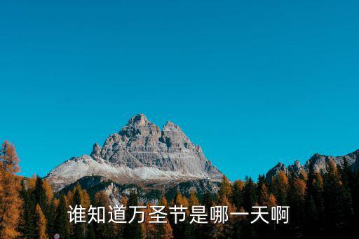 誰知道萬圣節(jié)是哪一天啊