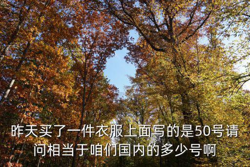 昨天買了一件衣服上面寫的是50號請問相當于咱們國內的多少號啊