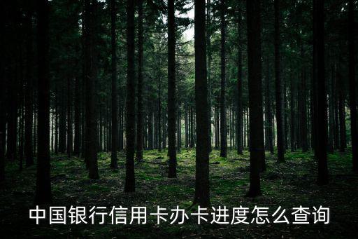 中國銀行信用卡辦卡進度怎么查詢