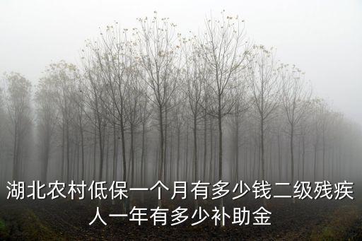 湖北農(nóng)村低保一個(gè)月有多少錢二級(jí)殘疾人一年有多少補(bǔ)助金