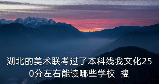 湖北的美術(shù)聯(lián)考過了本科線我文化250分左右能讀哪些學(xué)校  搜