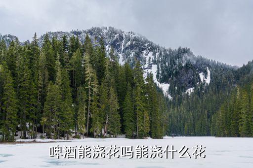 啤酒能澆花嗎能澆什么花