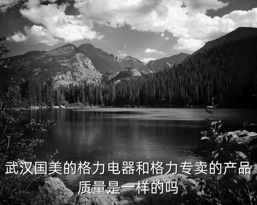 武漢國美的格力電器和格力專賣的產品質量是一樣的嗎