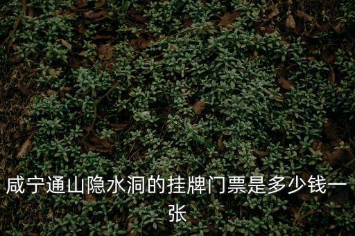隱水洞門票，咸寧通山隱水洞的掛牌門票是多少錢一張