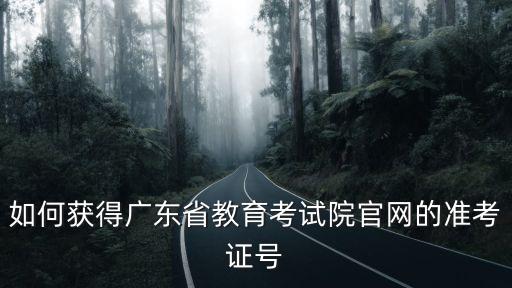 如何獲得廣東省教育考試院官網(wǎng)的準(zhǔn)考證號