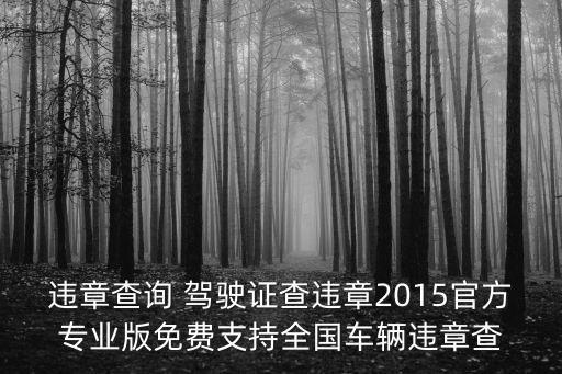 違章查詢(xún) 駕駛證查違章2015官方專(zhuān)業(yè)版免費(fèi)支持全國(guó)車(chē)輛違章查
