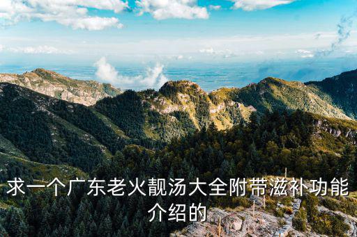 求一個廣東老火靚湯大全附帶滋補(bǔ)功能介紹的