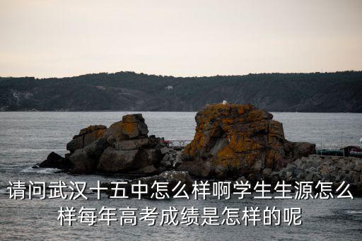 請問武漢十五中怎么樣啊學生生源怎么樣每年高考成績是怎樣的呢