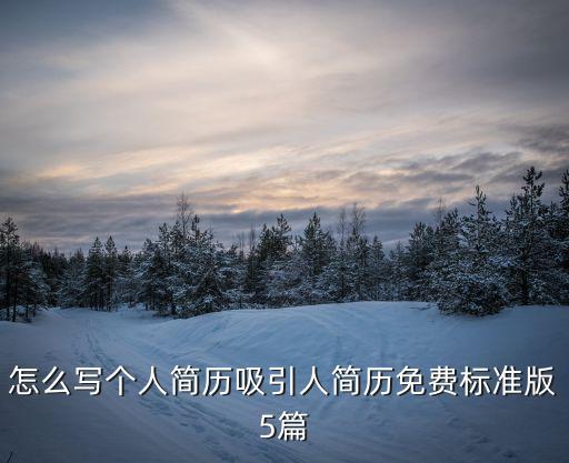 怎么寫個(gè)人簡(jiǎn)歷吸引人簡(jiǎn)歷免費(fèi)標(biāo)準(zhǔn)版5篇
