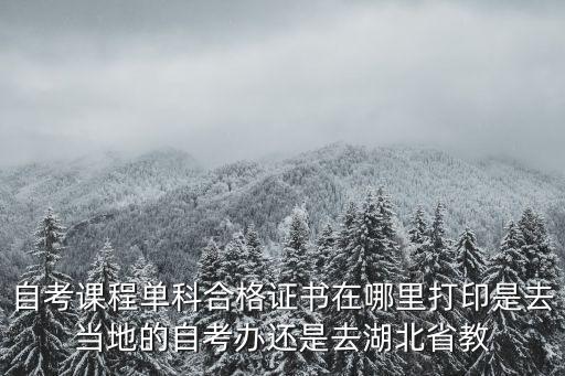 自考課程單科合格證書在哪里打印是去當地的自考辦還是去湖北省教