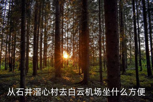 從石井滘心村去白云機場坐什么方便