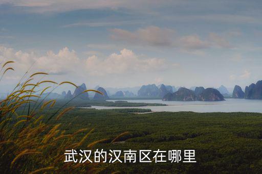 武漢的漢南區在哪里