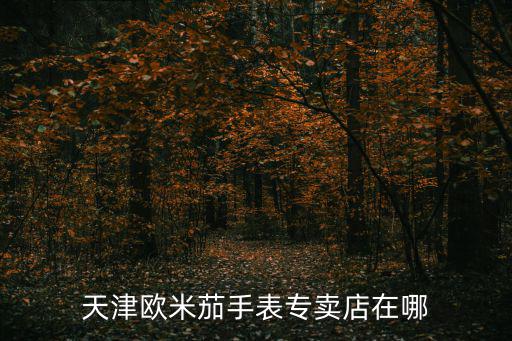 天津歐米茄手表專賣店在哪