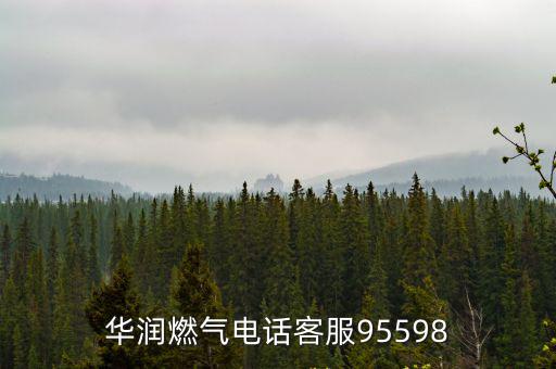 華潤燃氣電話客服95598